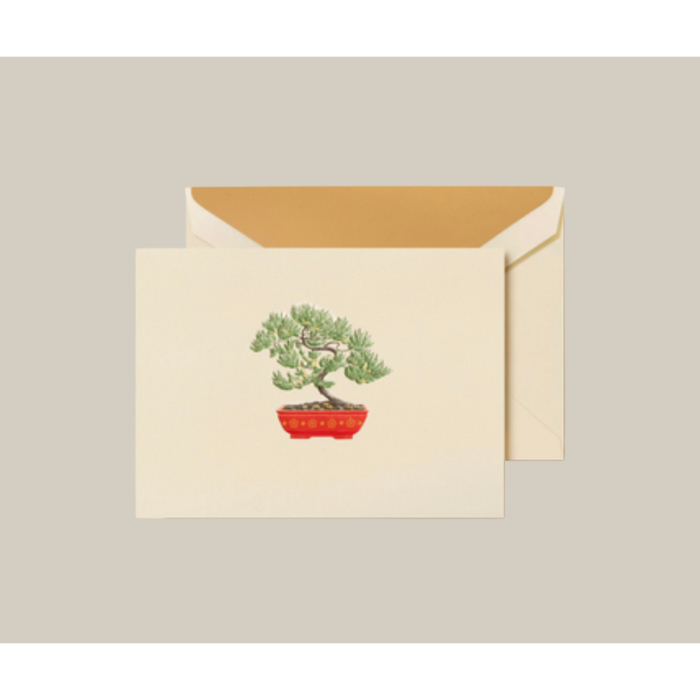 Potted Bonsai Tree Notes